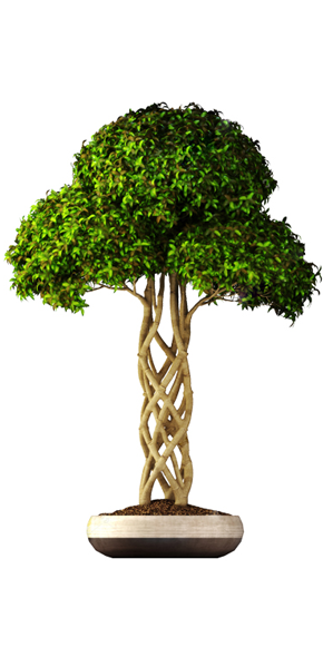 landscaping in Dubai