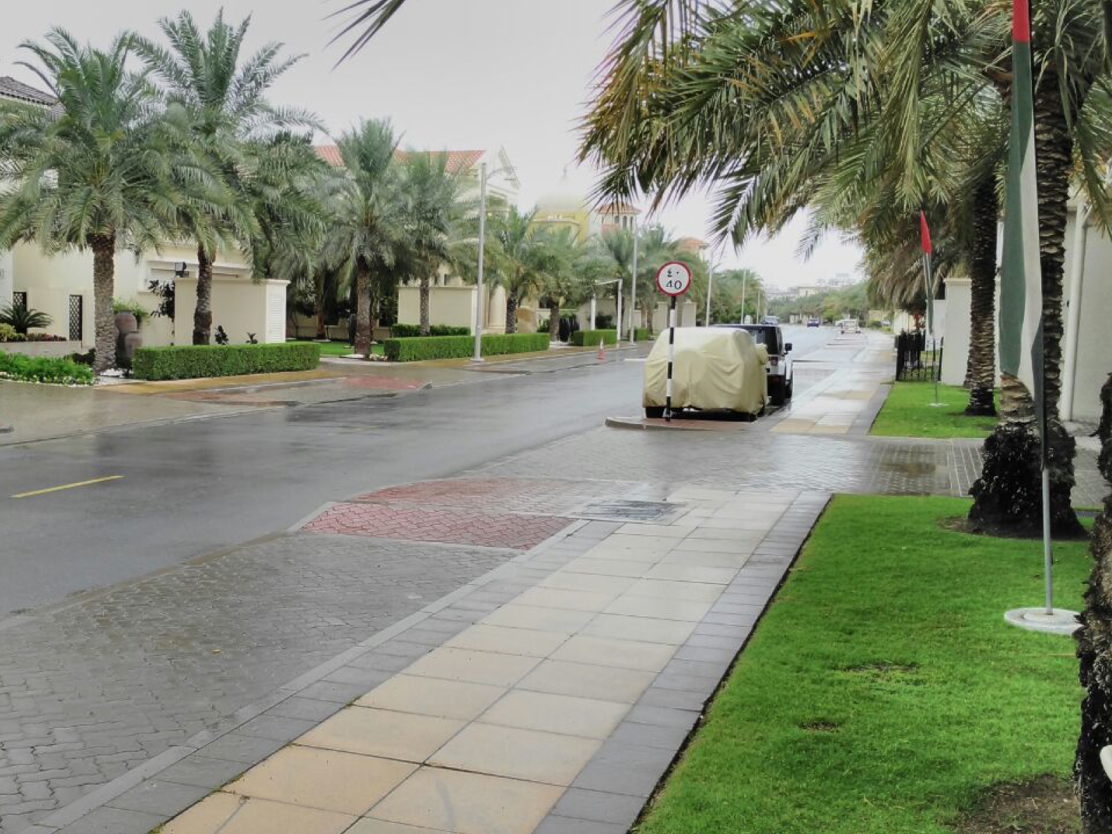 Landscape Companies Thrissur, Kerala